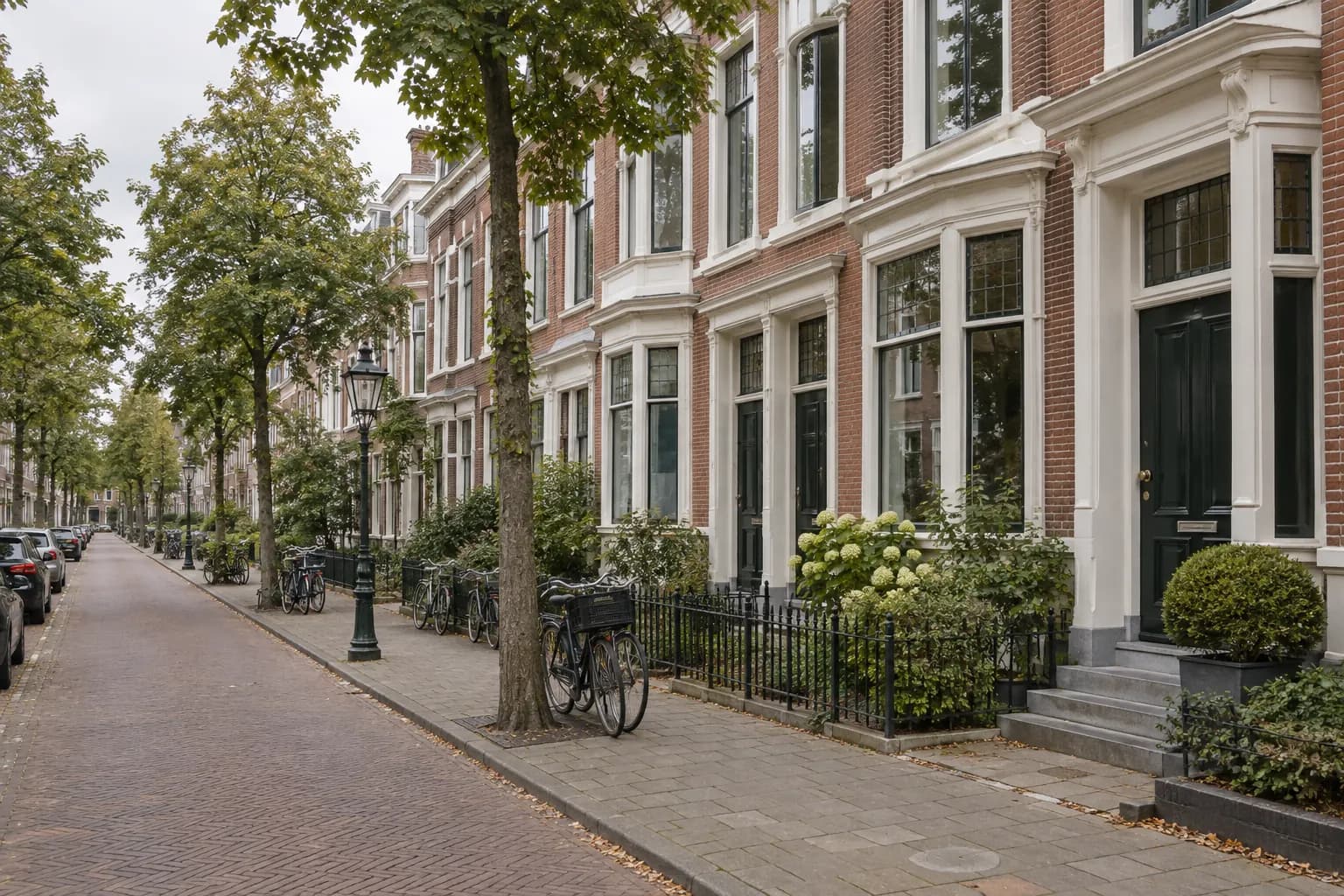 Straat in Den Haag met herenhuizen met erkers, witte kozijnen en donkere voordeuren, met bomen langs het trottoir